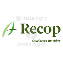 Load image into Gallery viewer, Recop Pulverização
