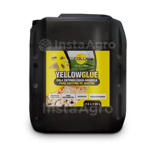 Load image into Gallery viewer, Yellow Glue Indefinido