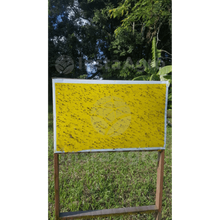 Load image into Gallery viewer, Yellow Glue Indefinido