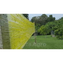 Load image into Gallery viewer, Yellow Glue Indefinido