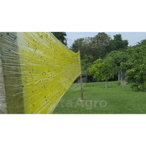 Yellow Glue Indefinido