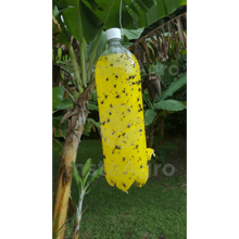 Load image into Gallery viewer, Yellow Glue Indefinido