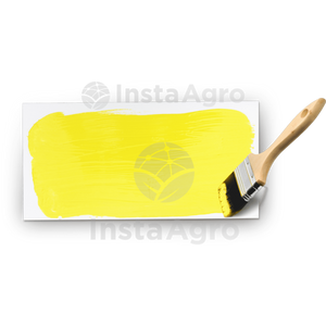 Yellow Glue Indefinido