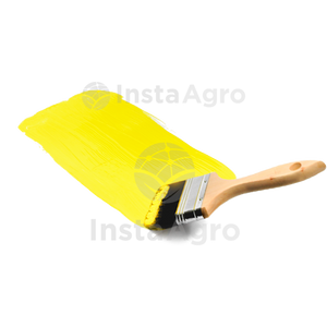 Yellow Glue Indefinido
